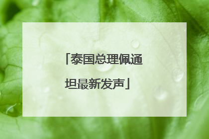 泰国总理佩通坦最新发声
